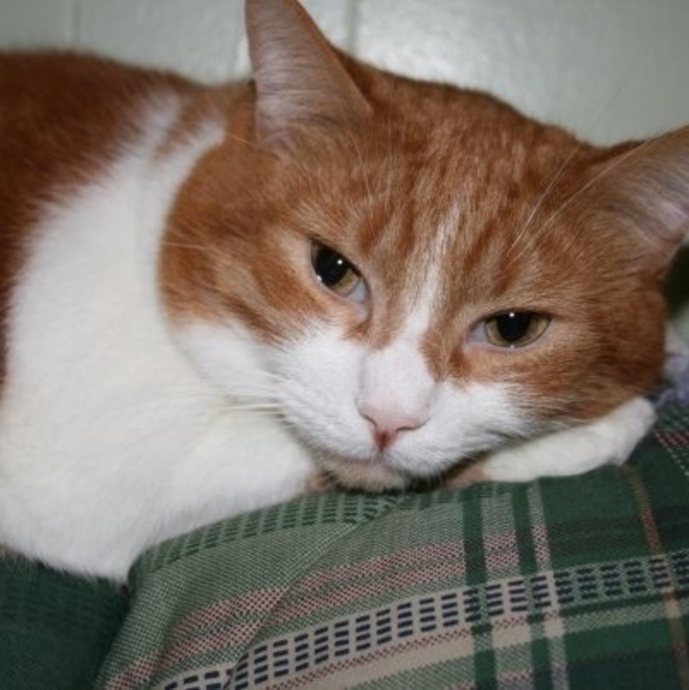 Meet your Posher, Eydie